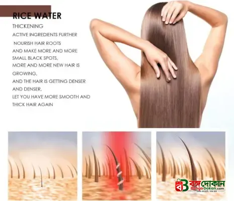 Rice Water Hair Care Shampoo – Hair Fall Control, Dandruff Removal, Volume Boost, Regrowth & Thickening Formula - বাংলাদেশে সেরা দাম ও লাইফস্টাইল কালেকশন - গ্যালারি